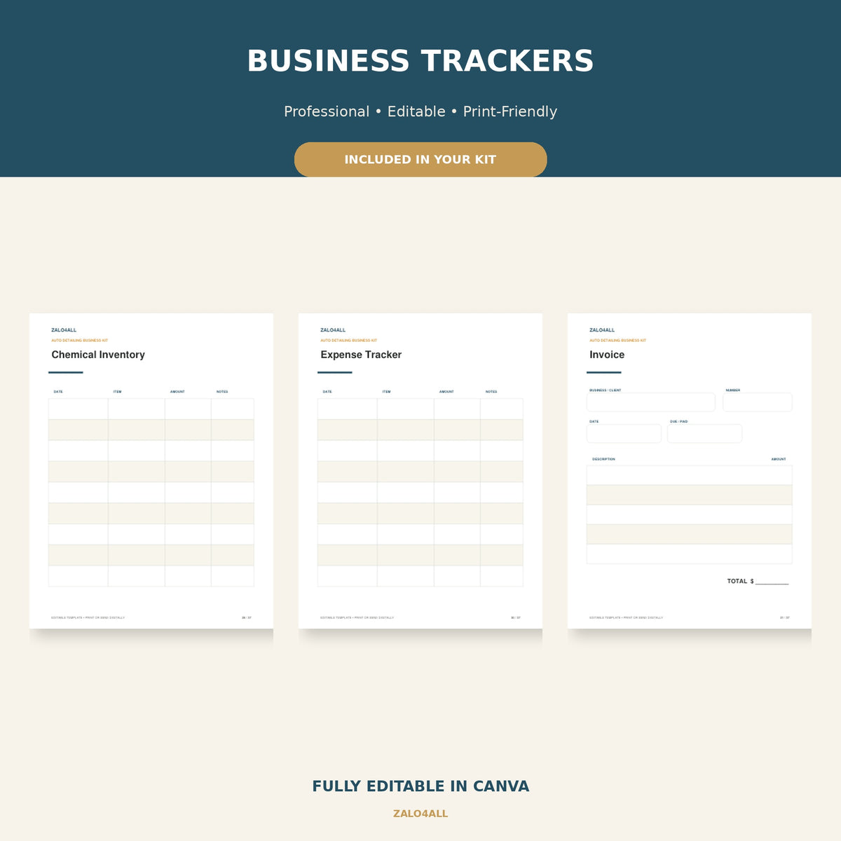 Mobile Car Detailing Business Starter Kit | 37 Editable Canva Templates preview 3